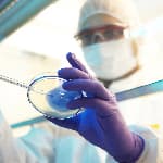 Close-up of lab technician’s hand holding a pipette and petri dish in a laboratory cleanroom.